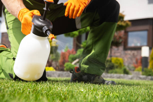 Best Wildlife Control Services  in Fort Salonga, NY