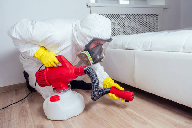 Best Wasp Removal Services  in Fort Salonga, NY