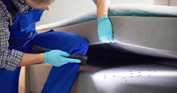 Best Commercial Pest Control Services  in Fort Salonga, NY