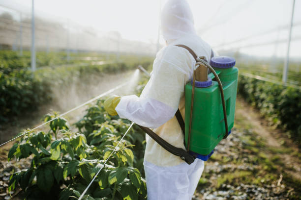 Trusted Fort Salonga, NY Pest Control Experts